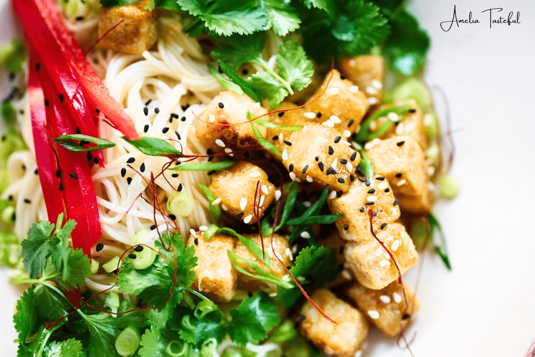 A delicious serving of Crock Pot Garlic Parmesan Chicken garnished with herbs